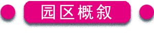 未标题-1.png